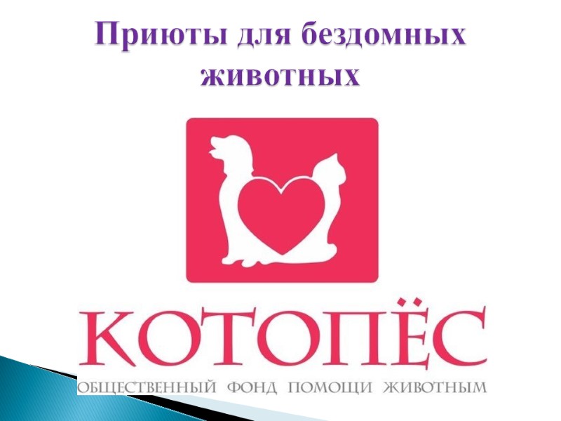 Приюты для бездомных животных